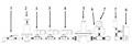 Model-2730-Natural-Pipe